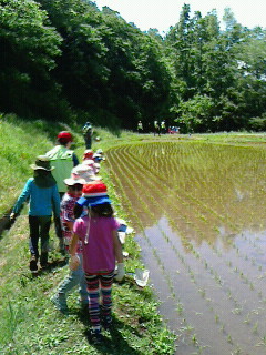 2017052810400000.jpg