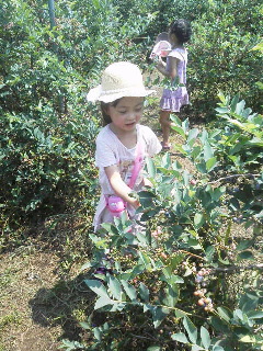 2014072614180000.jpg