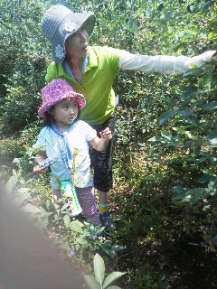 2014072614180001.jpg